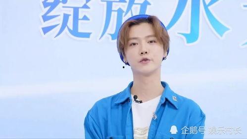 直播爆料鹿晗事件视频,揭秘背后真相与争议